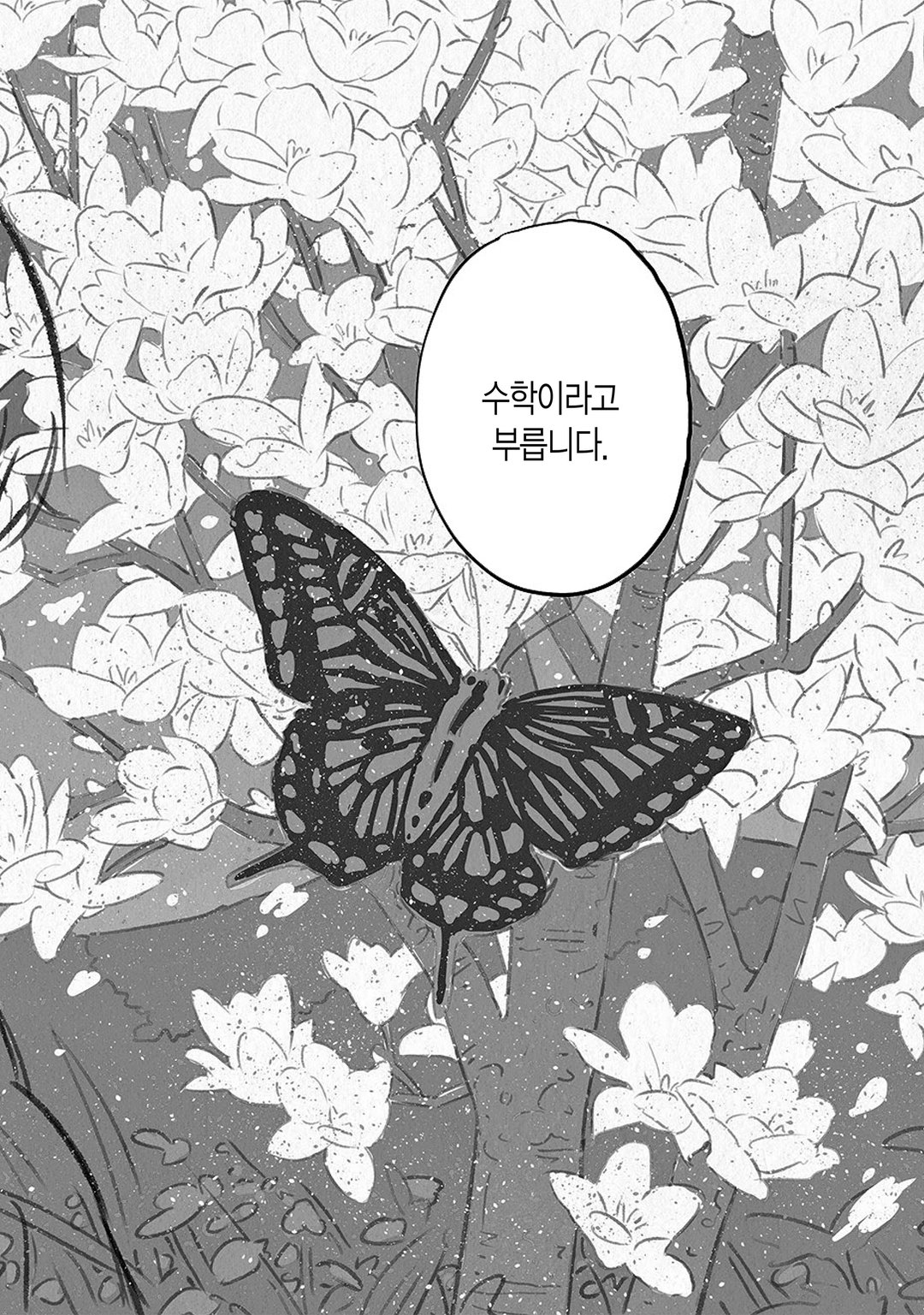 하지메 알고리즘 미리보기-1