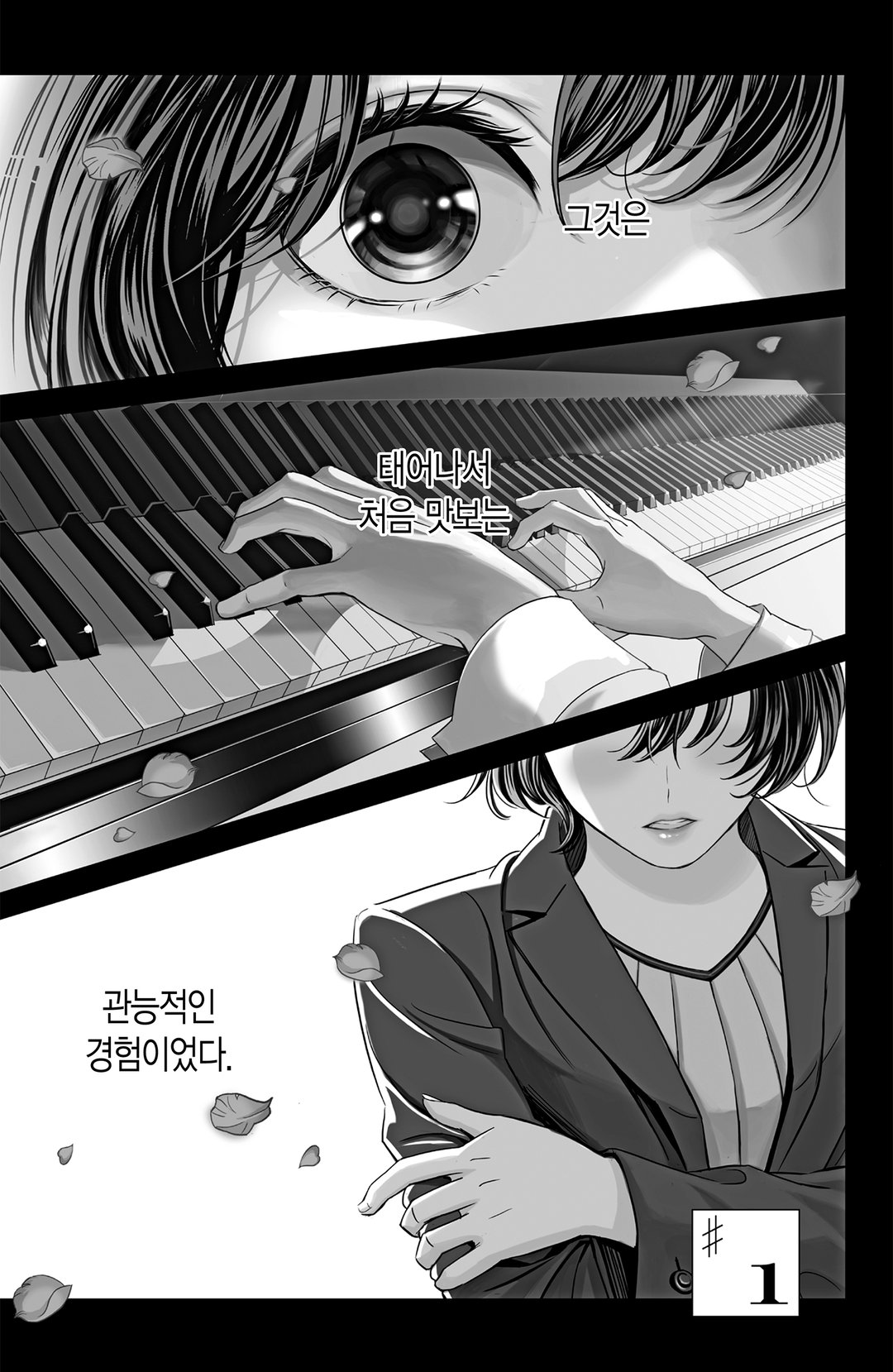 불성실한 피아노 소나타 미리보기-0