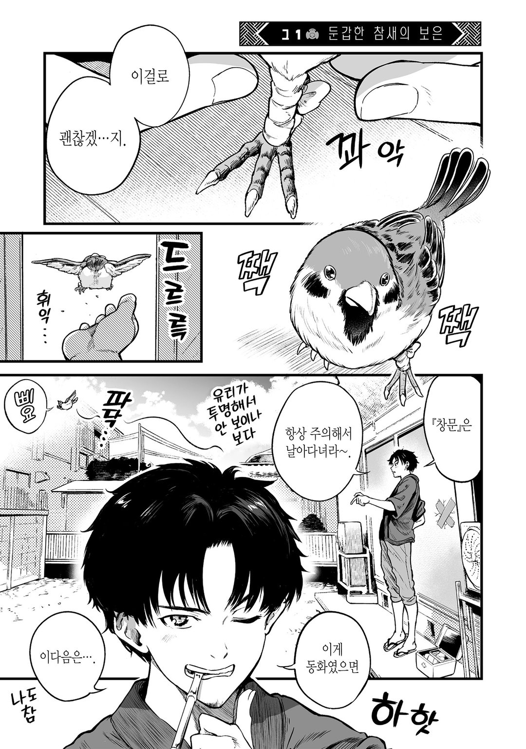 참새의 보은 미리보기-2