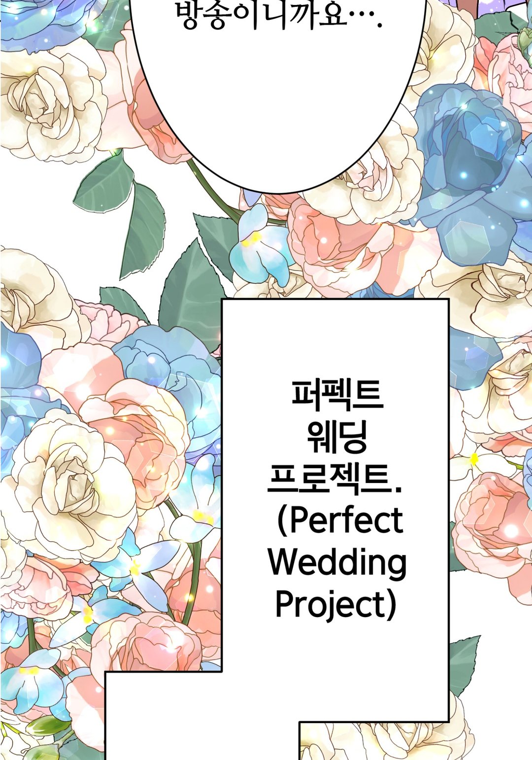 완벽한 신랑 미리보기-11