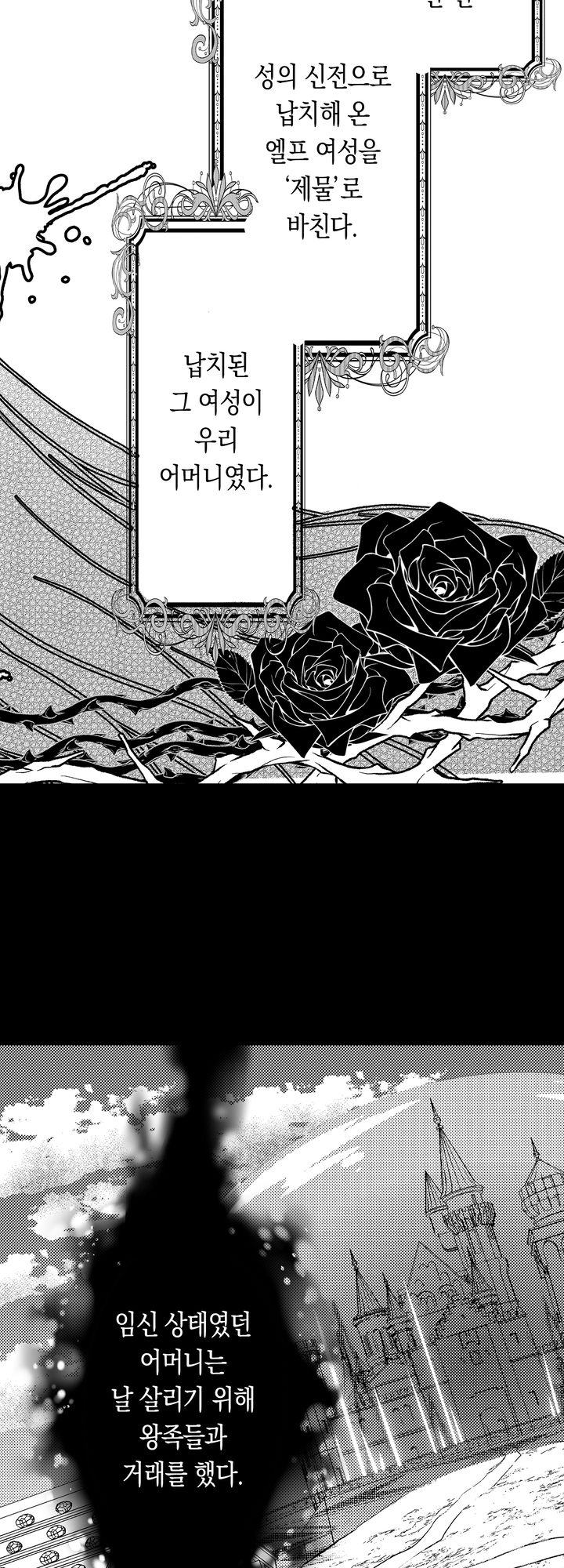 은색 늑대는 왕녀를 뺏고 놓아주질 않는다 미리보기-13