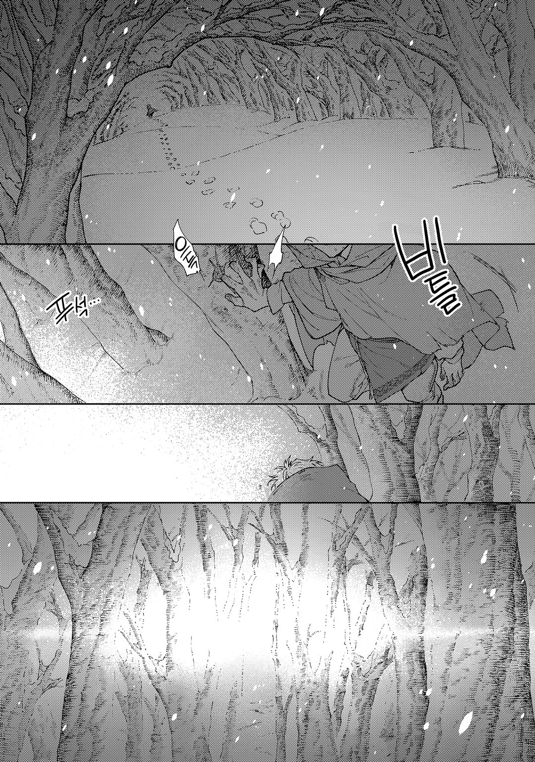 너도밤나무 숲의 아리아 미리보기-1