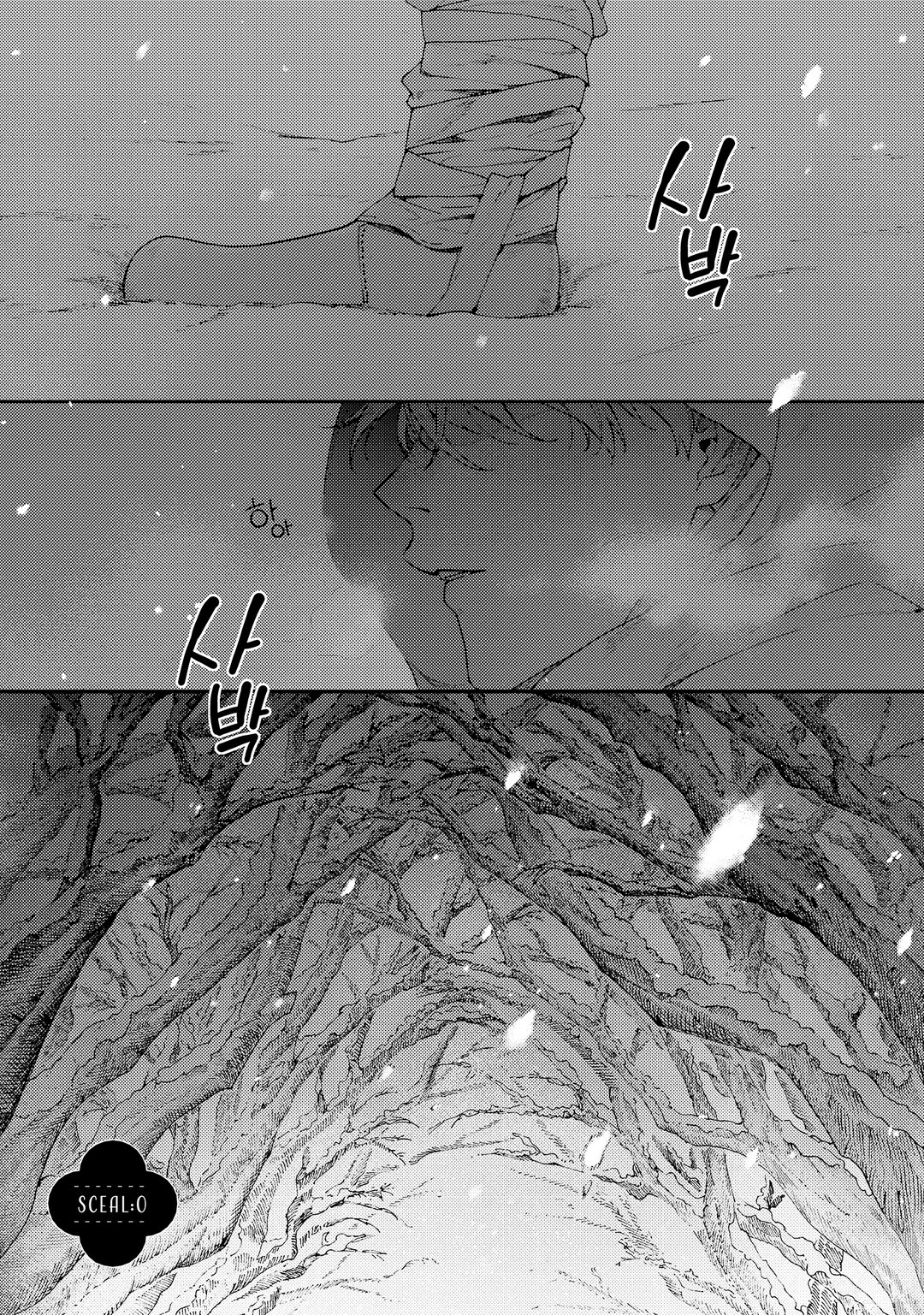 너도밤나무 숲의 아리아 미리보기-0