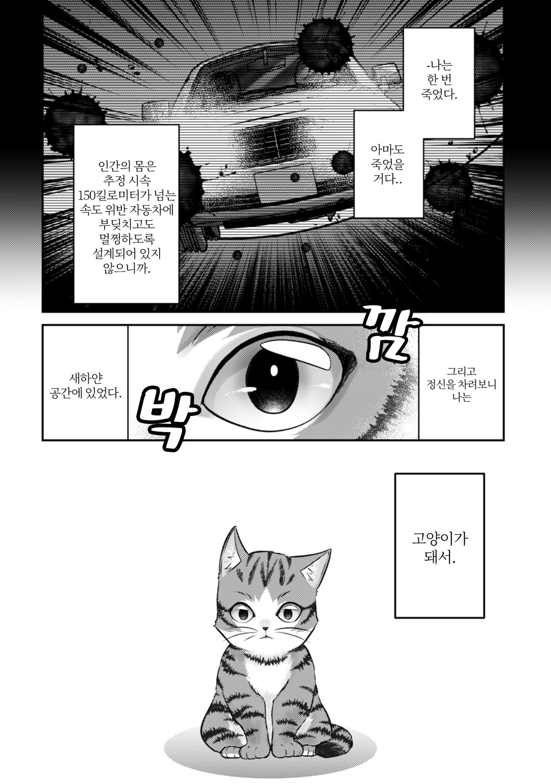 나는 고양이 마도사로소이다 ~키지토라 루크의 안락한 먼치킨 고양이 생활~ 미리보기-3