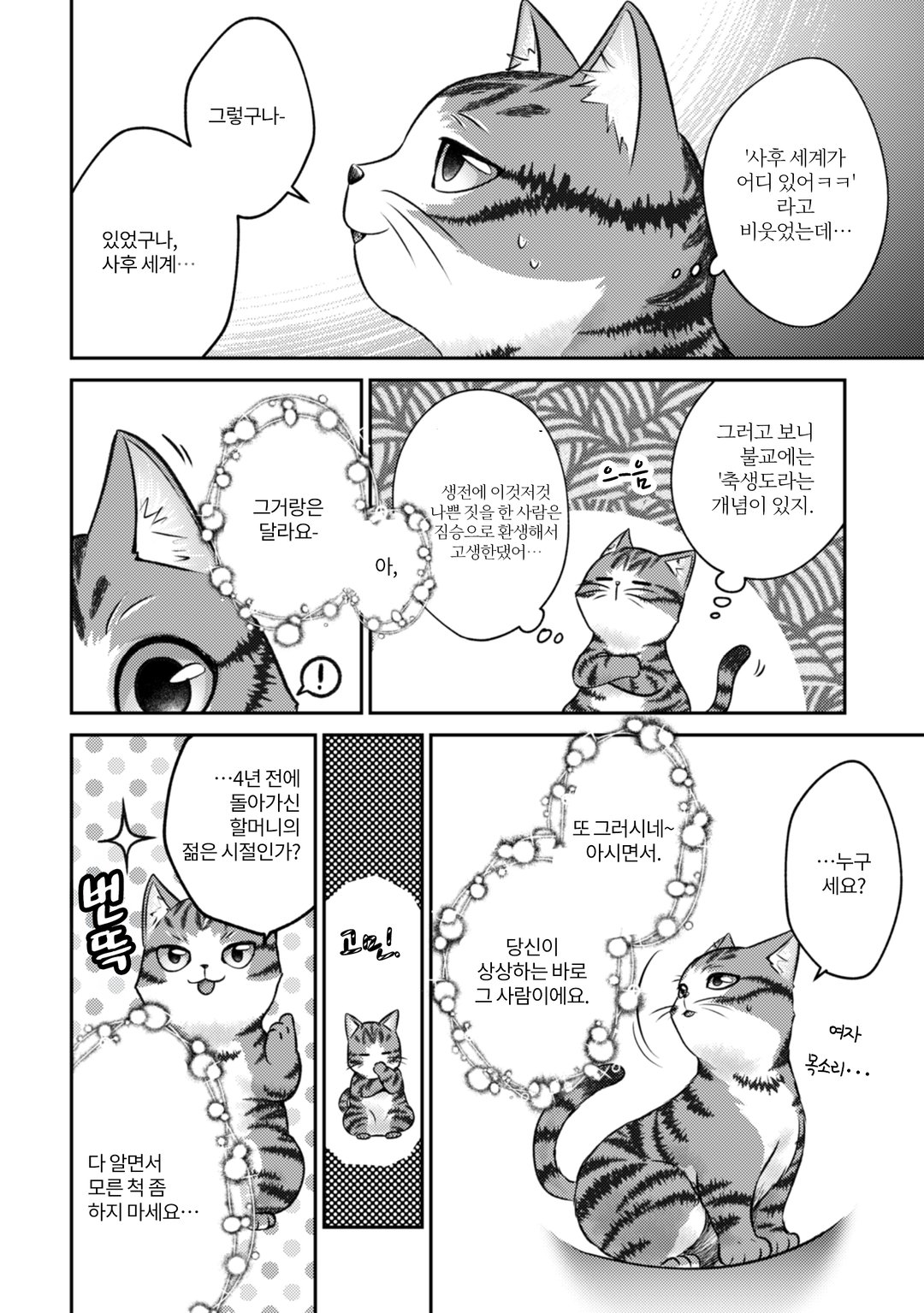 나는 고양이 마도사로소이다 ~키지토라 루크의 안락한 먼치킨 고양이 생활~ 미리보기-5