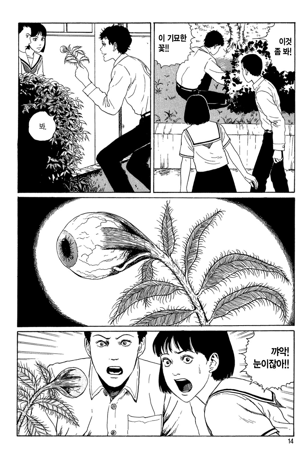 신음하는 배수관 [이토준지 걸작집 8] 미리보기-10
