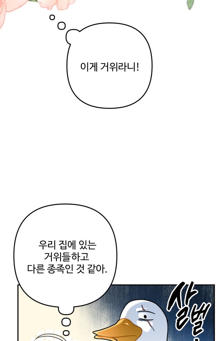 왜 이러세요, 시어머니? 미리보기-15