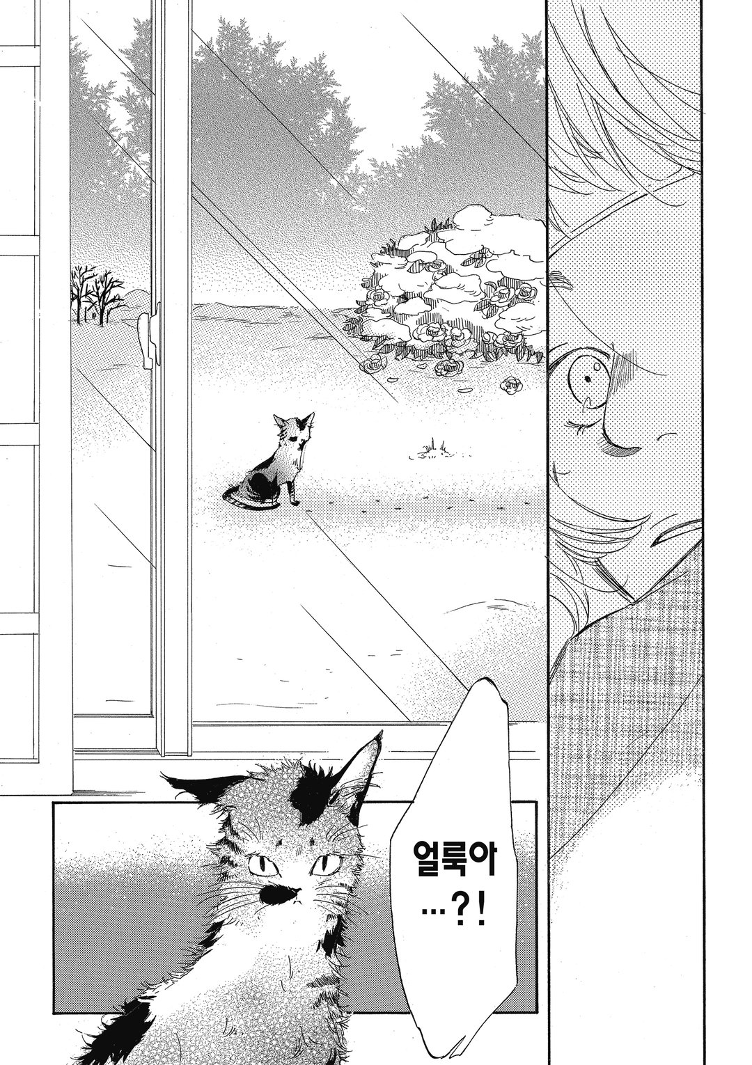 오늘부터 집사입니다 미리보기-11