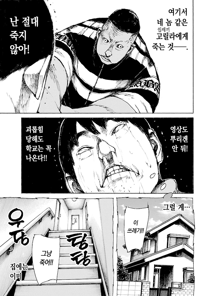 BoXSter 미리보기-16