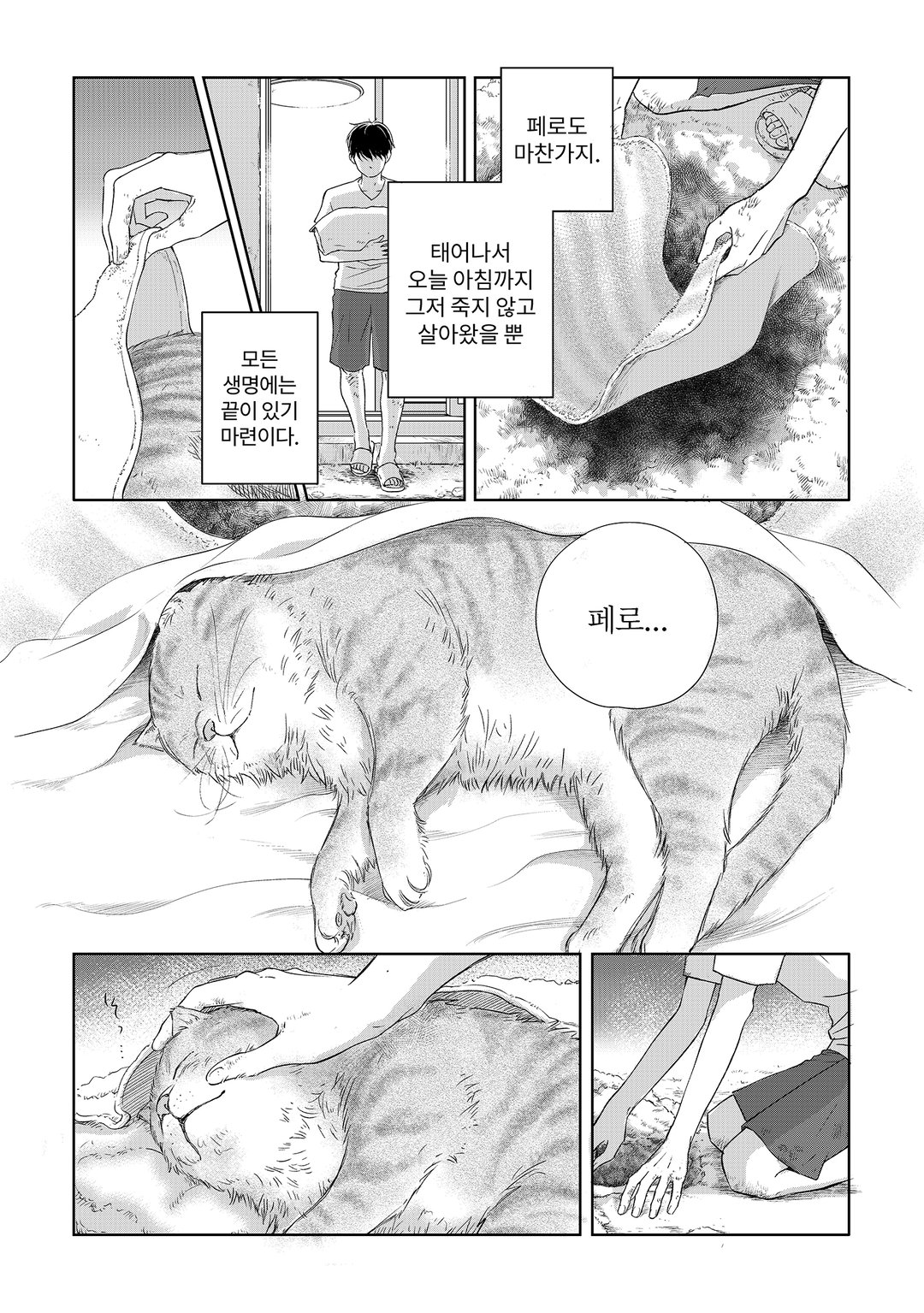 반짝반짝 안경 미리보기-6