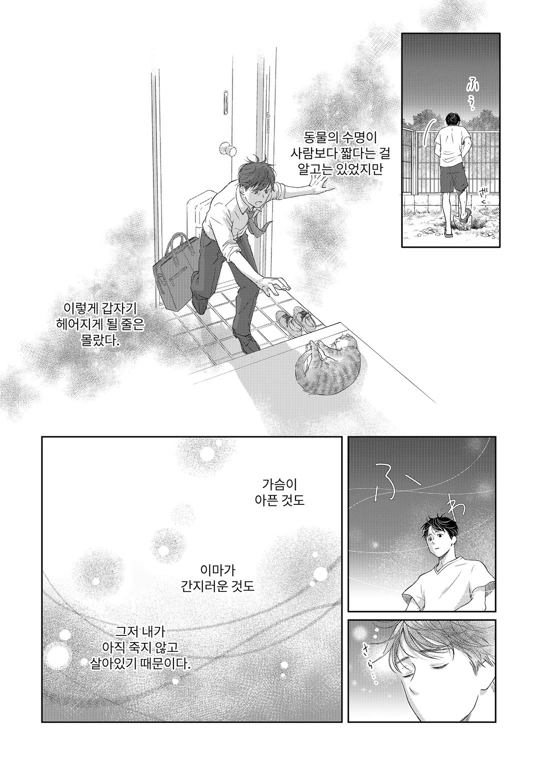 반짝반짝 안경 미리보기-5
