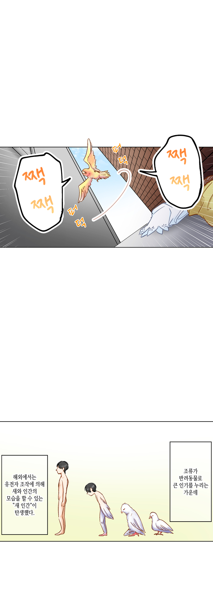새 아가씨는 짝이 되고 싶어! 미리보기-12