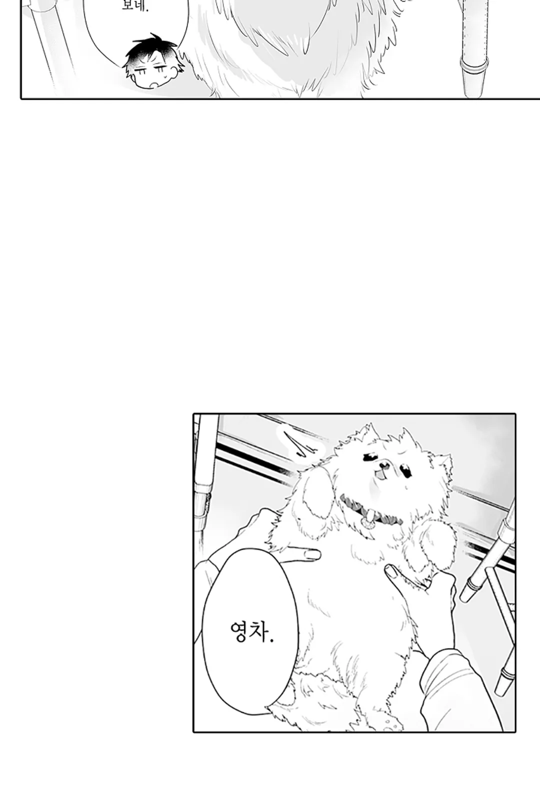 불확실한 양지 미리보기-37