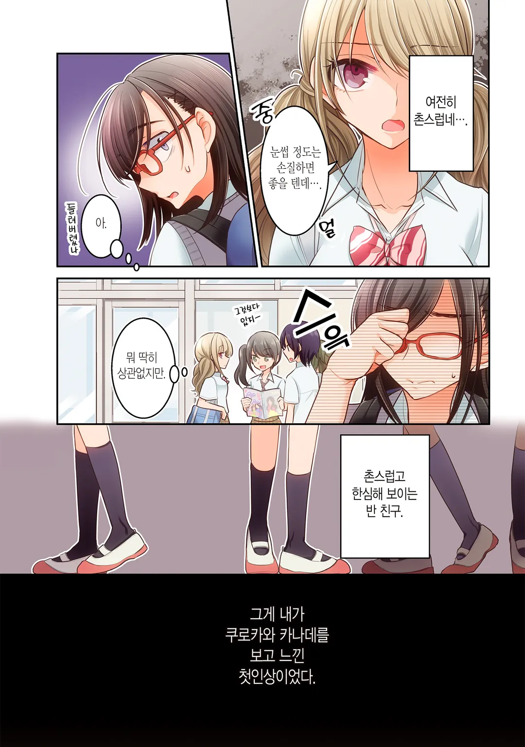 변변치 못한 공주들