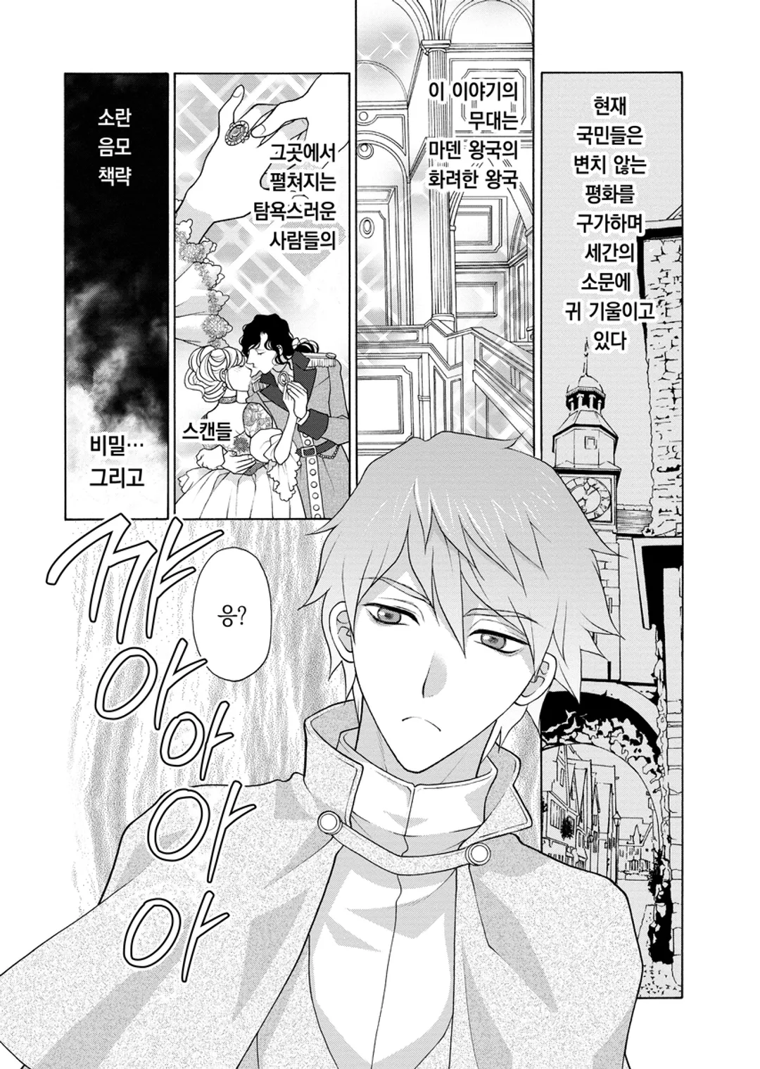 왕궁궁녀의 엿보기 사건부 ~눈치없이 당신의 비밀을 파헤칩니다~