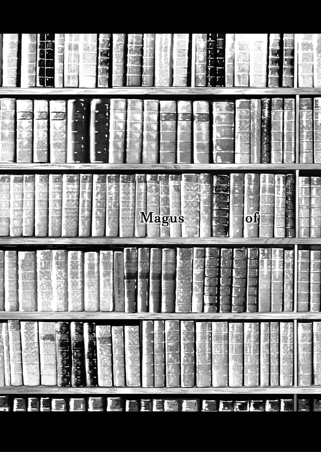 도서관의 대마법사