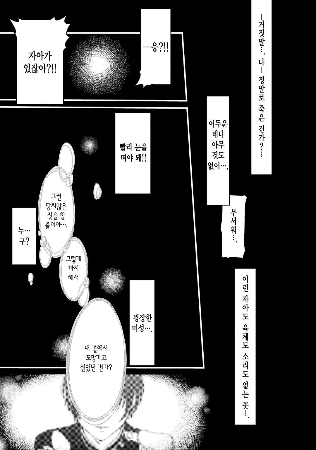 전생했더니 15살의 왕비였습니다