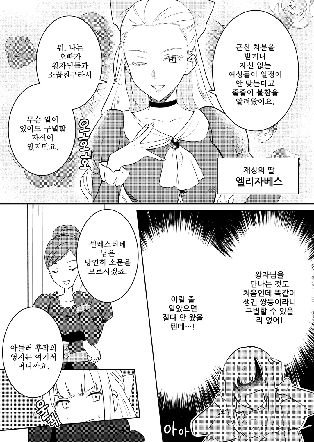 쌍둥이 왕자를 구별하는 방법