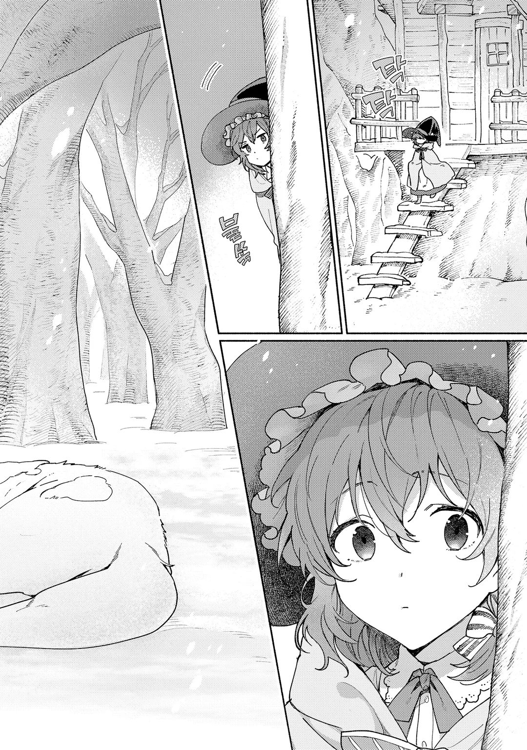 너도밤나무 숲의 아리아