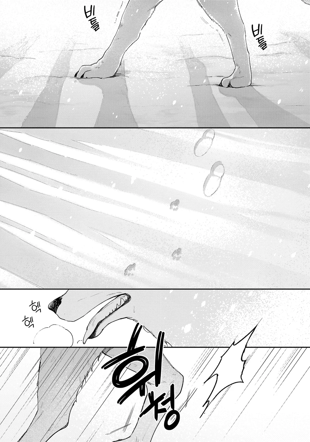 너도밤나무 숲의 아리아