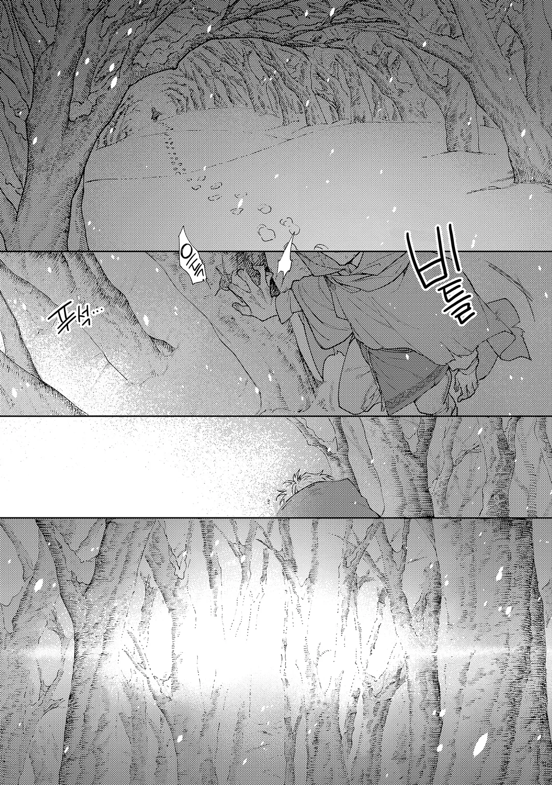 너도밤나무 숲의 아리아