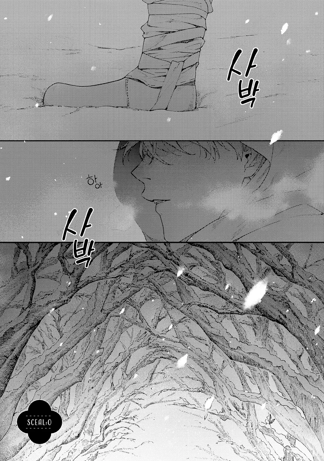 너도밤나무 숲의 아리아