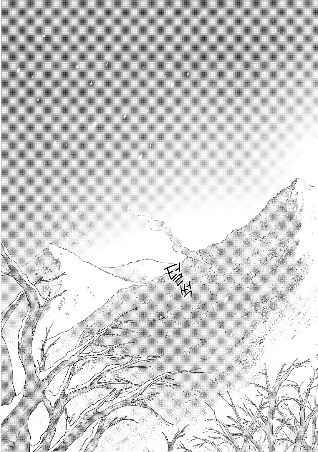 너도밤나무 숲의 아리아