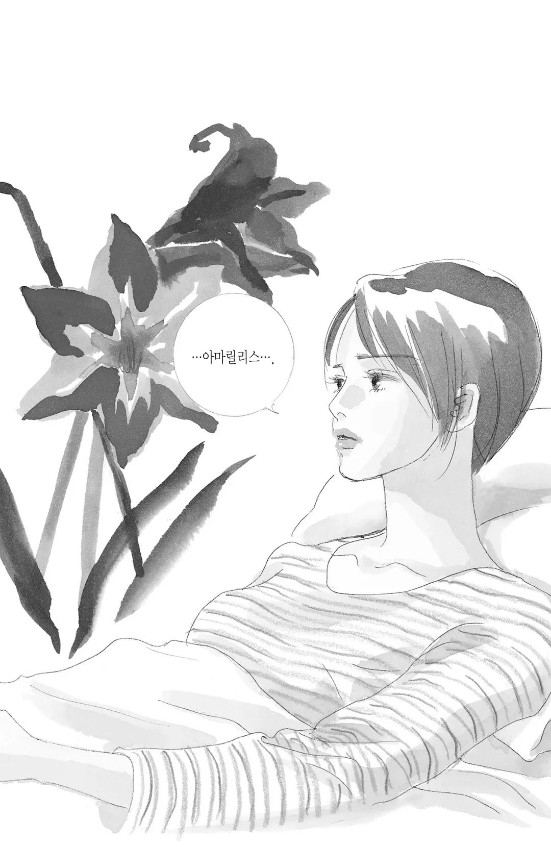 아리스와 아마릴리스