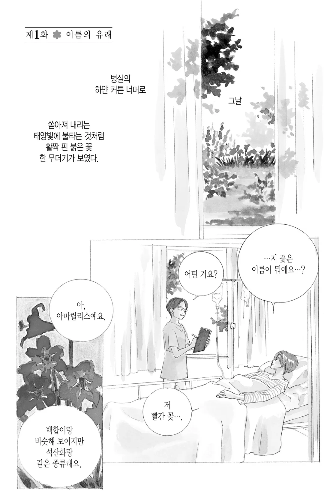 아리스와 아마릴리스