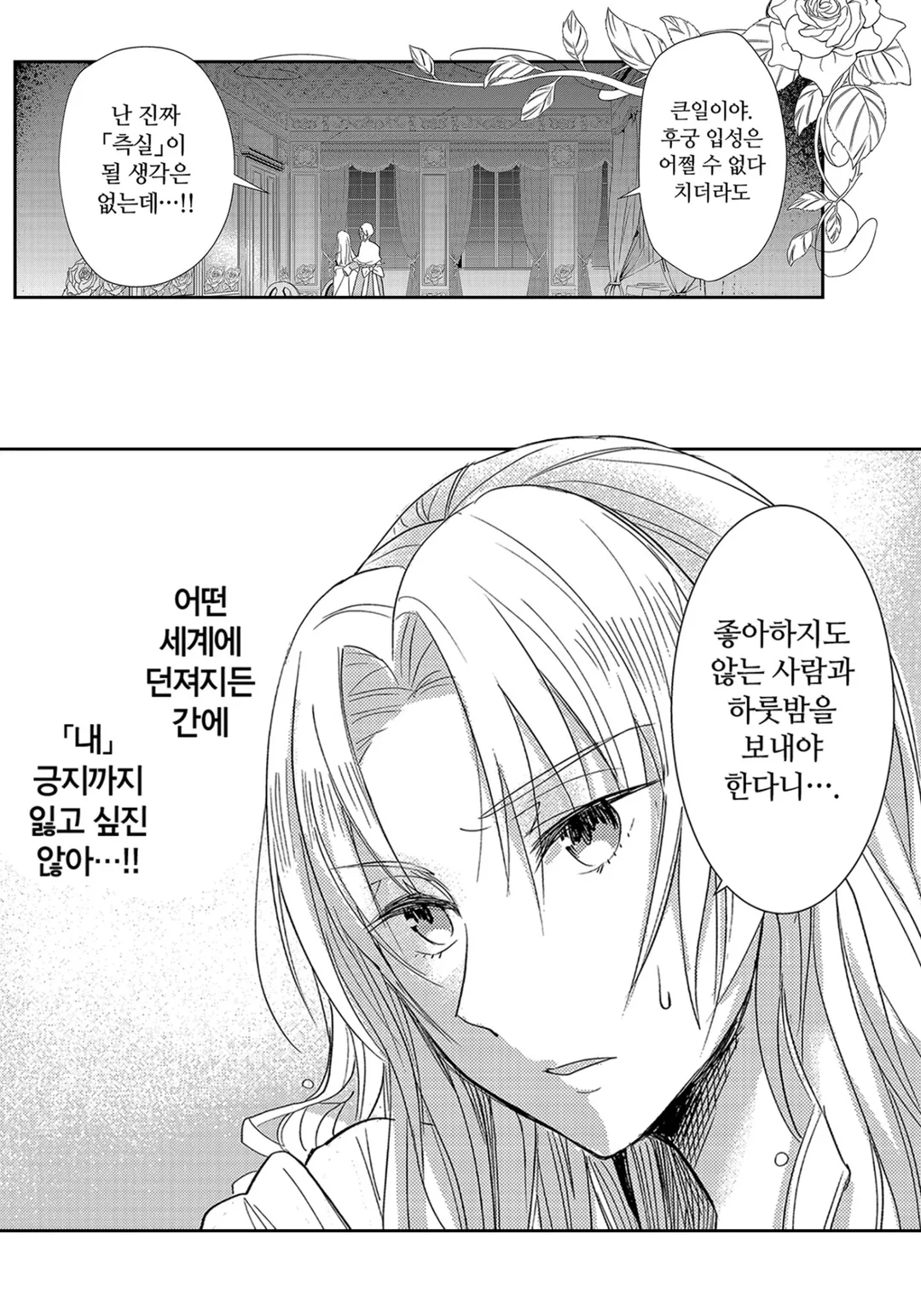 악역 영애 후궁 이야기