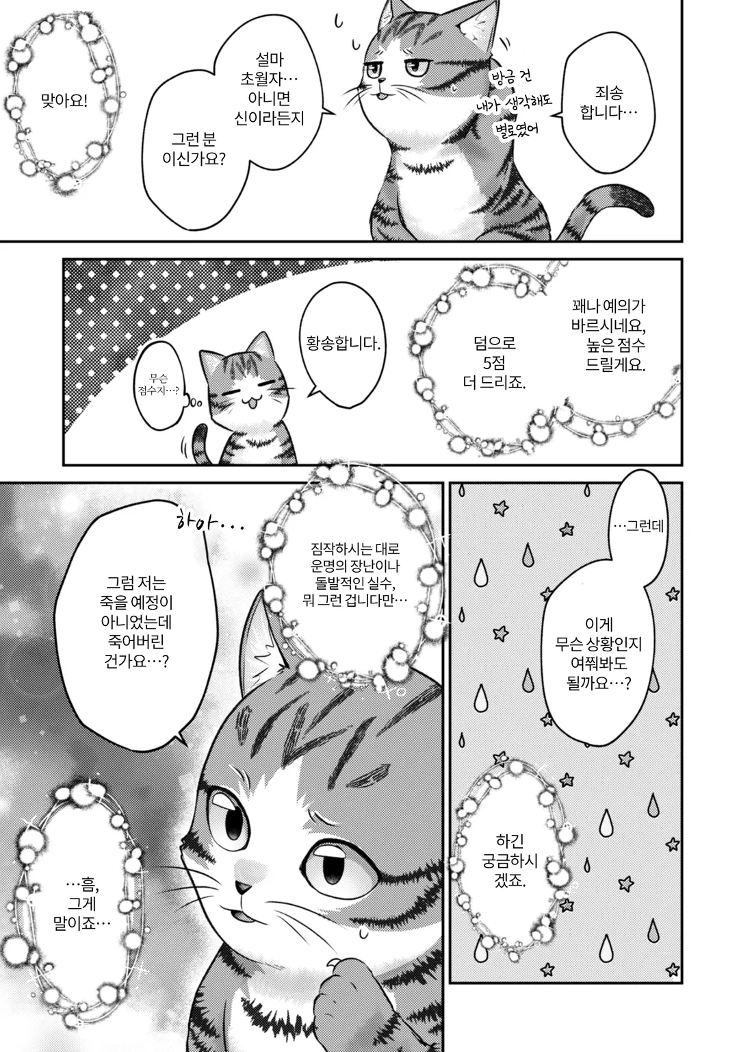 나는 고양이 마도사로소이다 ~키지토라 루크의 안락한 먼치킨 고양이 생활~