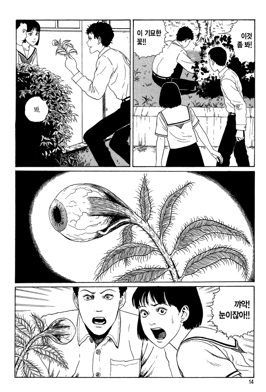 신음하는 배수관 [이토준지 걸작집 8]