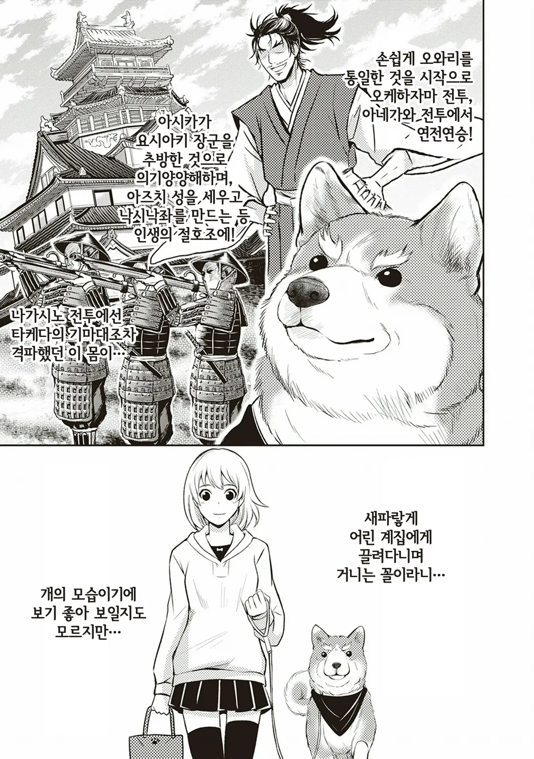 오다 시나몬 노부나가