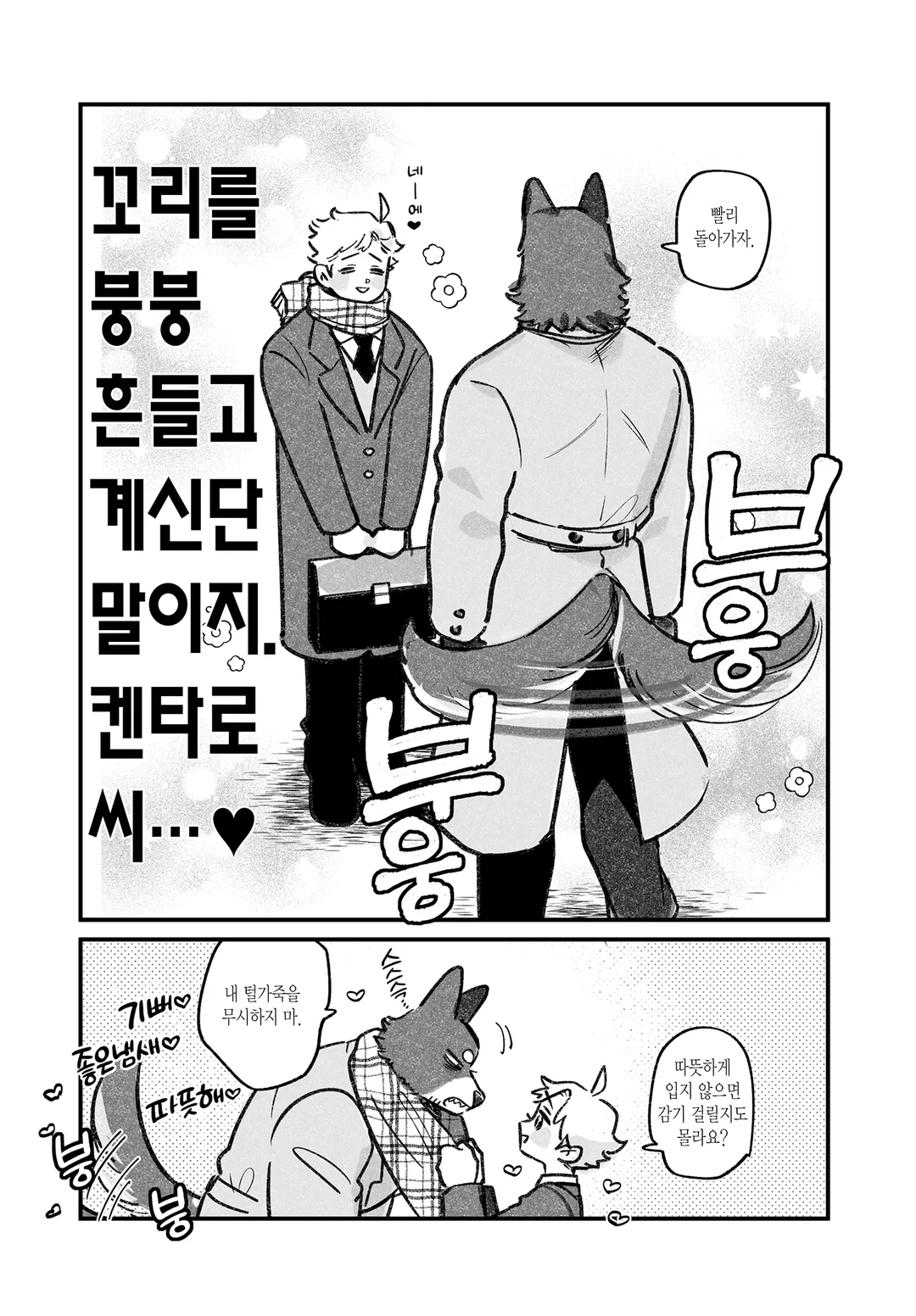 강아지과 남자친구