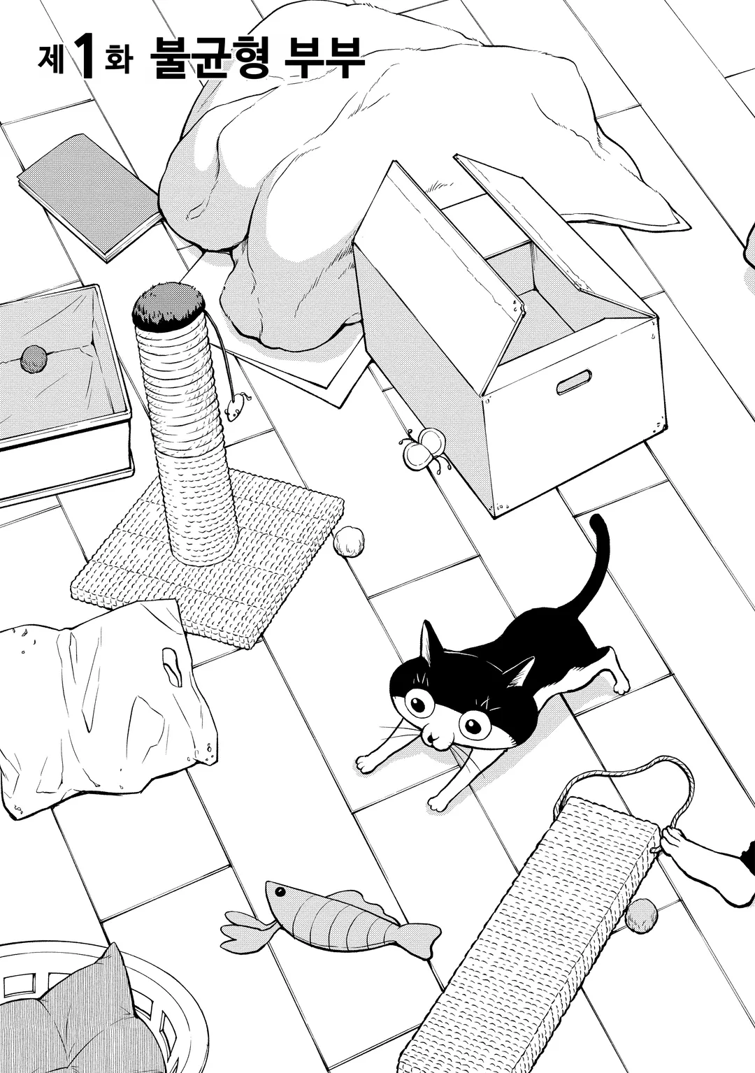 내 아내는 발달장애