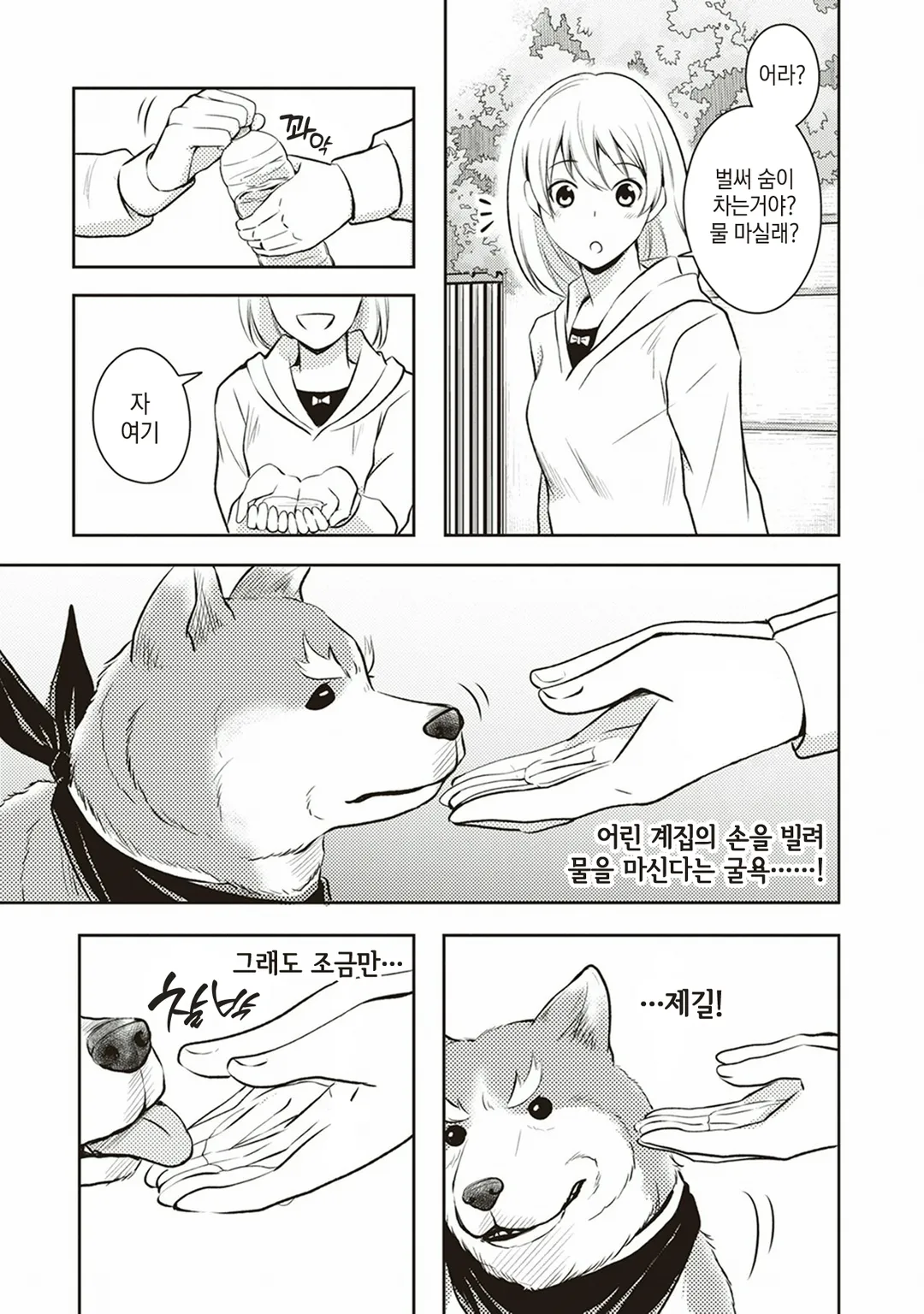 오다 시나몬 노부나가