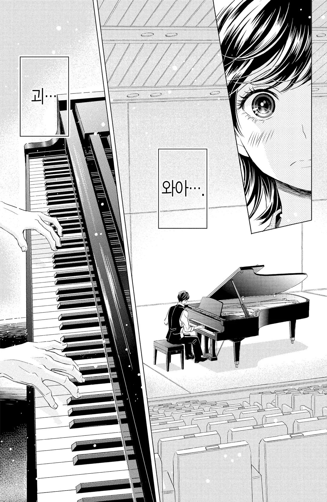 불성실한 피아노 소나타