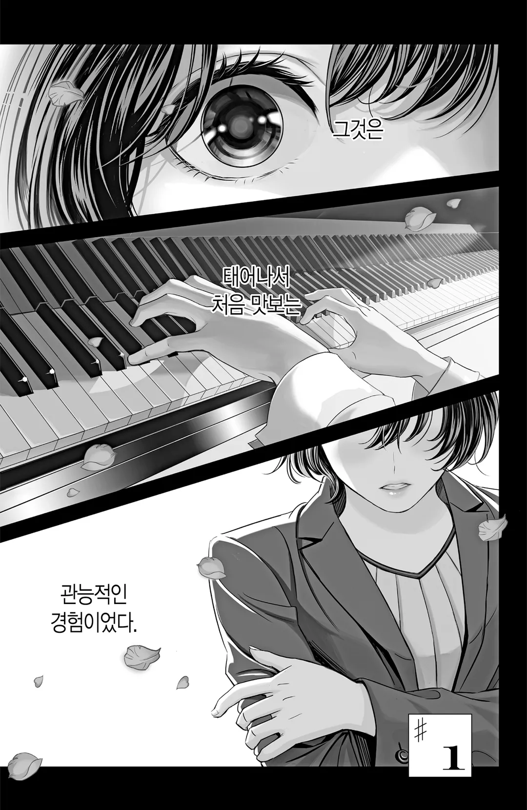 불성실한 피아노 소나타