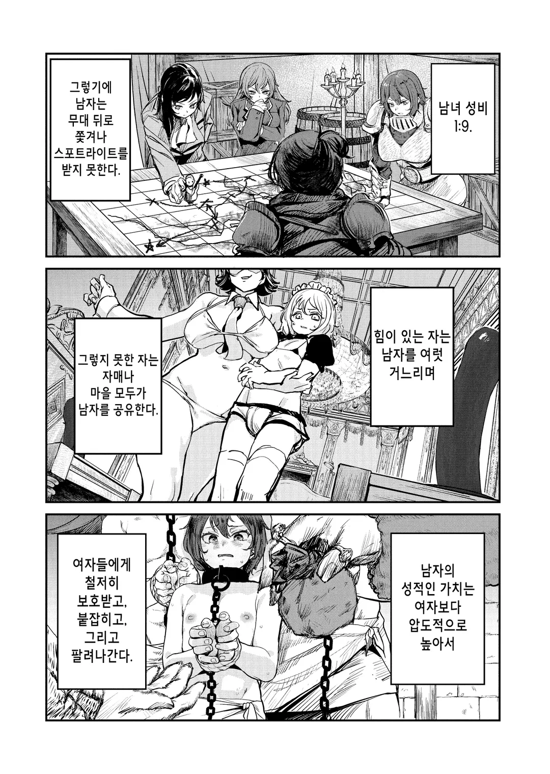 정조 역전 세계의 동정 변경 영주 기사 (코믹스)