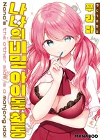 나나의 비밀 아이돌 활동