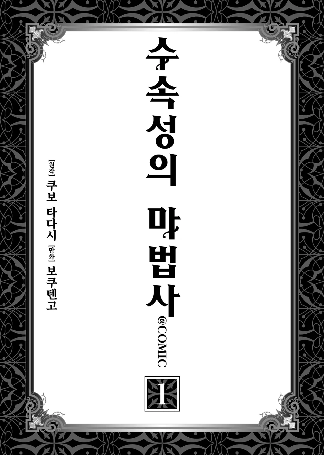 수속성의 마법사 (코믹스)