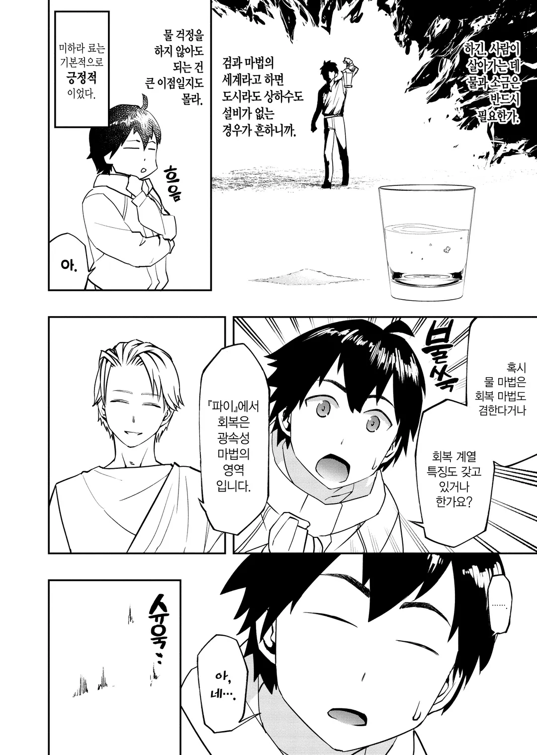 수속성의 마법사 (코믹스)