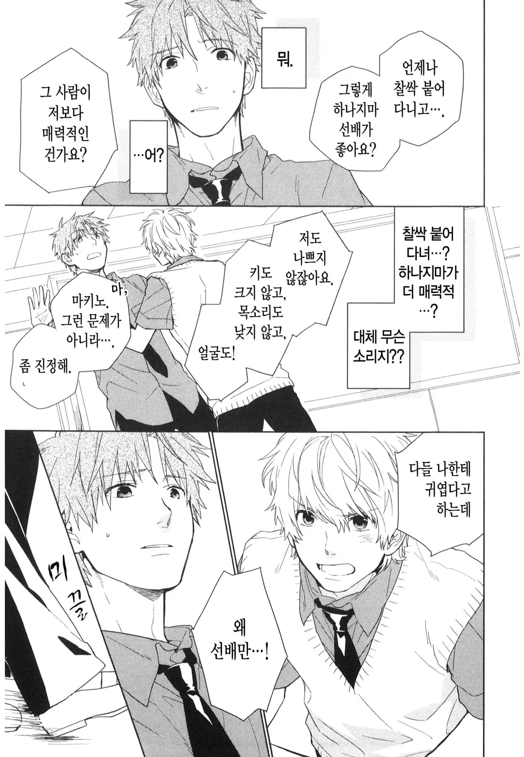 매와 솔개와 유부