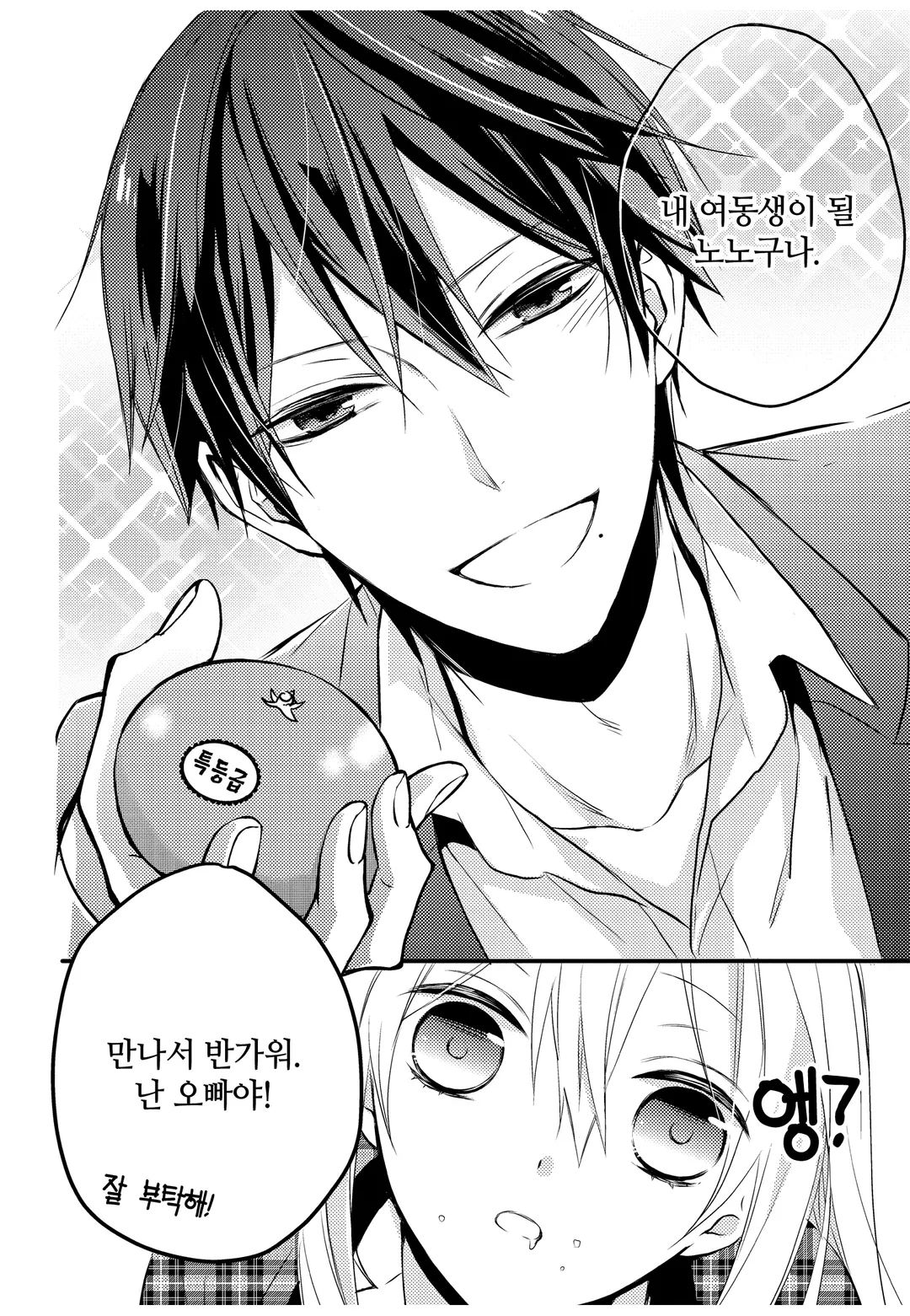 니트짱과 오빠 [단행본]