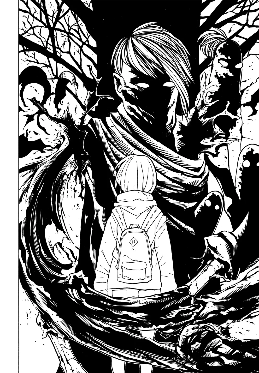 호시아카리 그래픽스