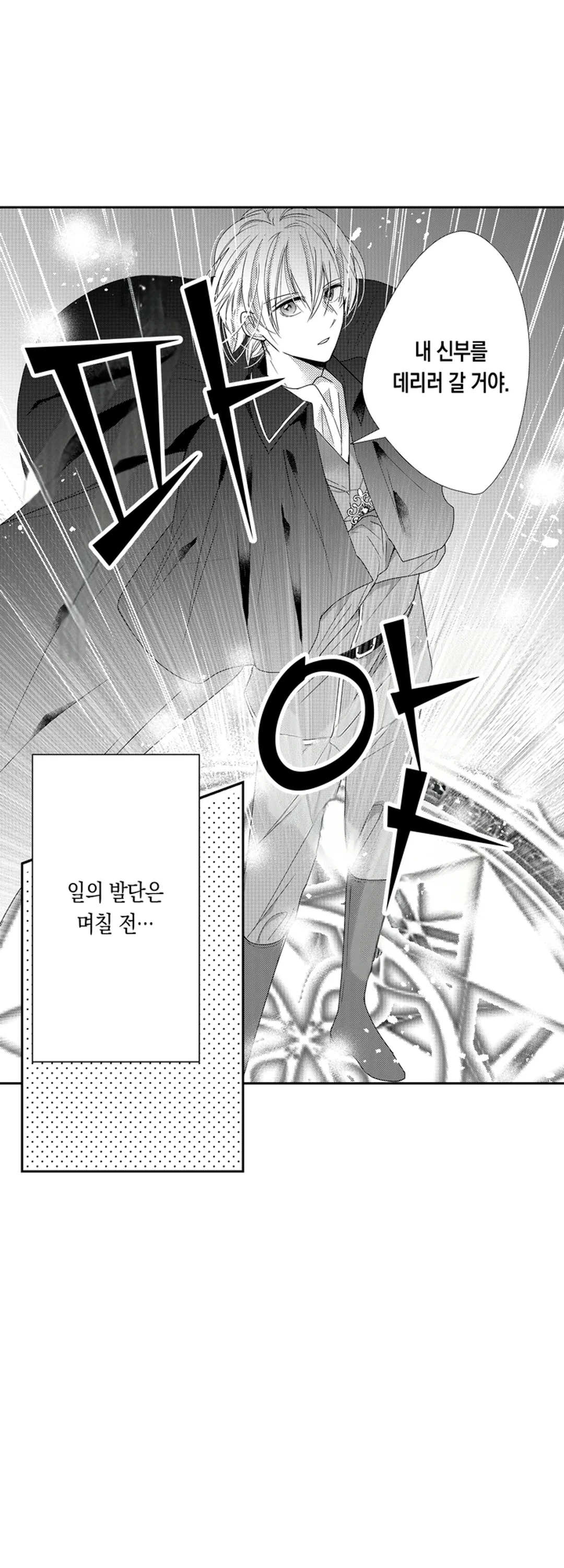 마법사의 총애에는 비밀이 있는 것 같습니다 미리보기-2