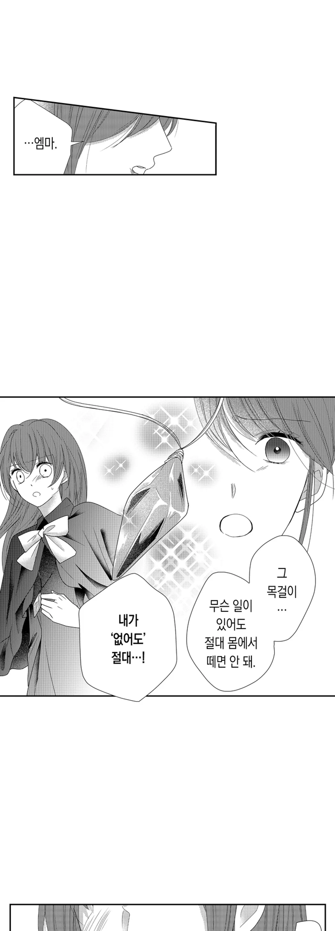 마법사의 총애에는 비밀이 있는 것 같습니다 미리보기-12