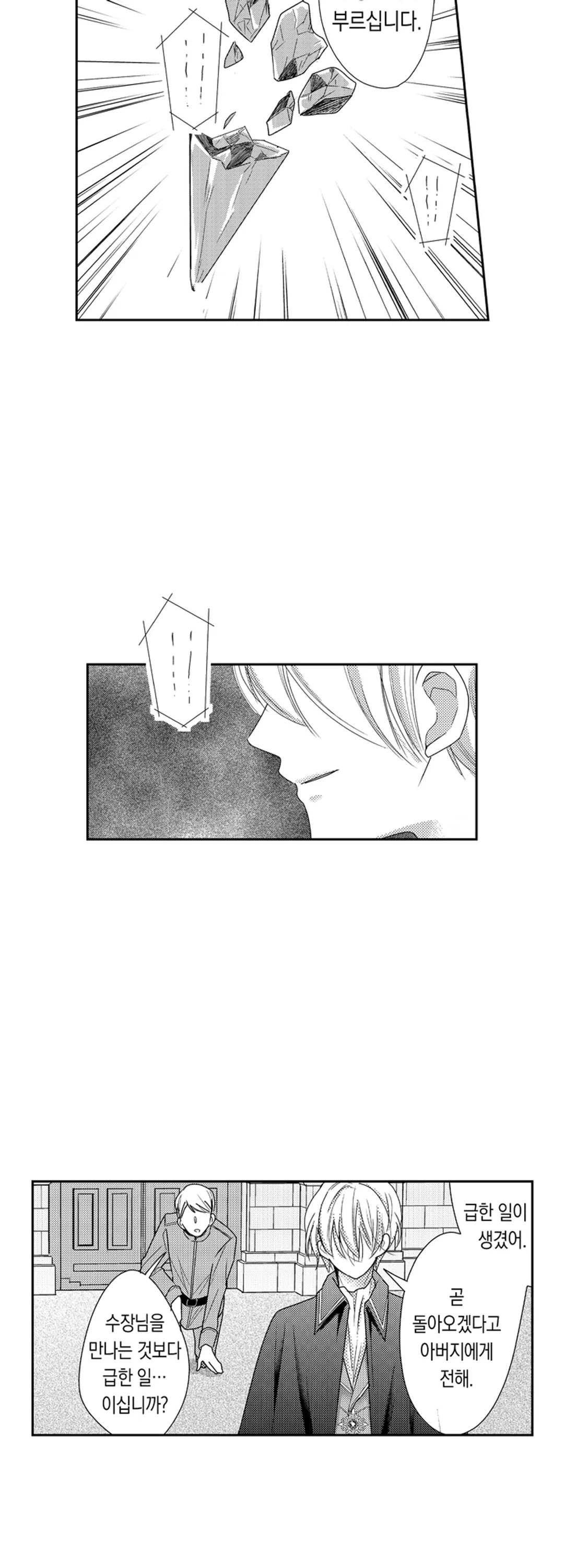 마법사의 총애에는 비밀이 있는 것 같습니다 미리보기-1