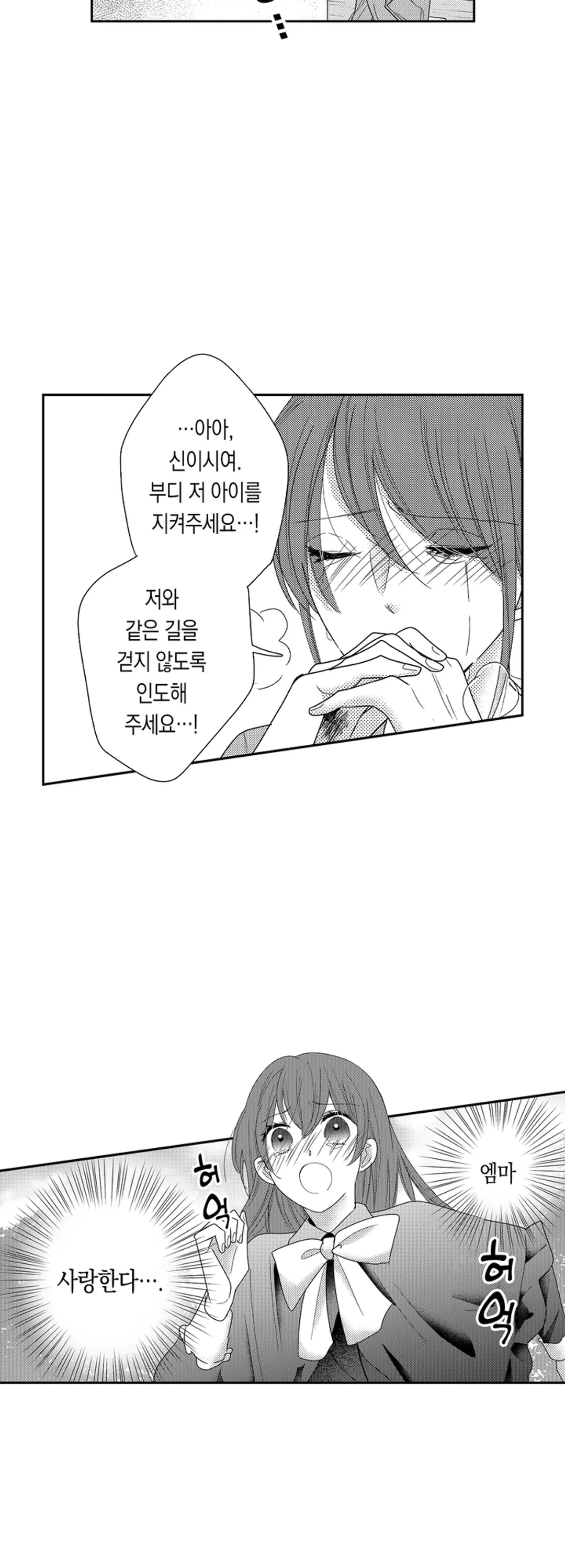 마법사의 총애에는 비밀이 있는 것 같습니다 미리보기-14