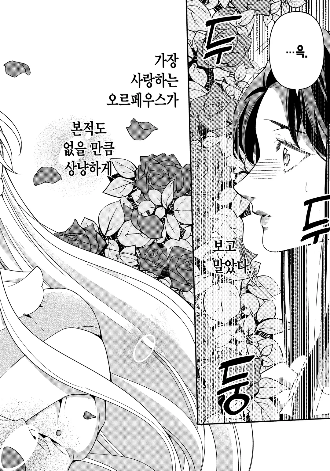 당신에게 바치는 붉은 장미